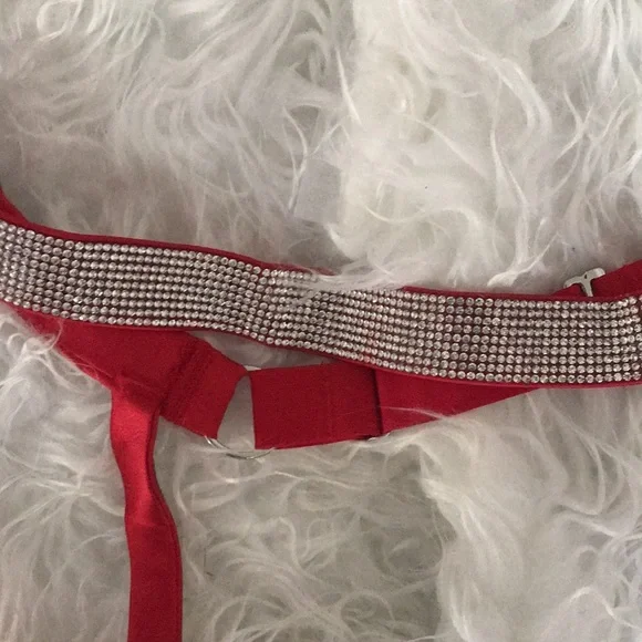 🏷️PSHOPPE‼️last call‼️Victoria’s Secret garter belt - Picture 2 of 4
